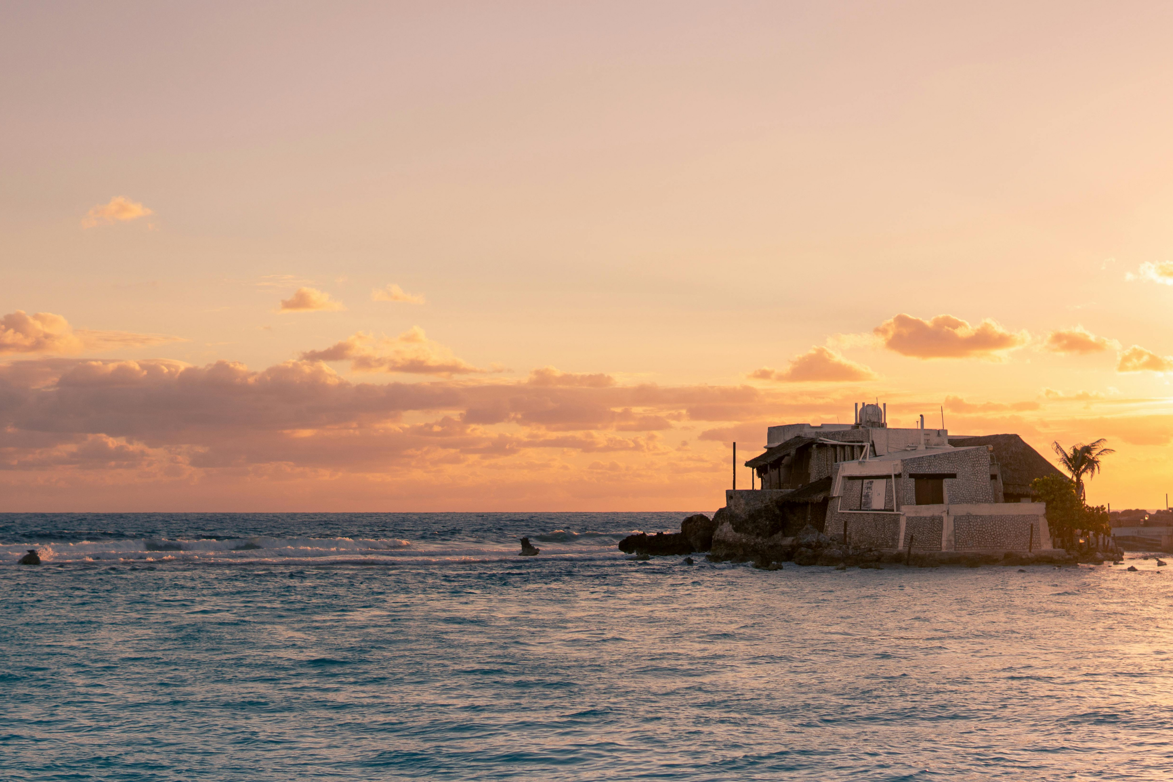 isla natividad (4).webp